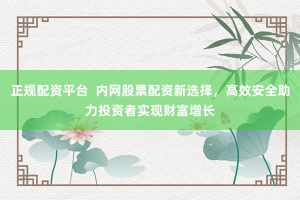 正规配资平台  内网股票配资新选择，高效安全助力投资者实现财富增长