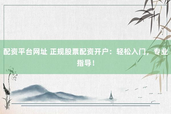 配资平台网址 正规股票配资开户：轻松入门，专业指导！