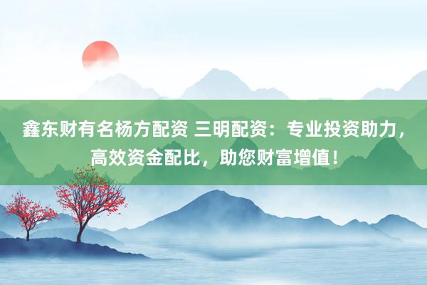 鑫东财有名杨方配资 三明配资：专业投资助力，高效资金配比，助您财富增值！