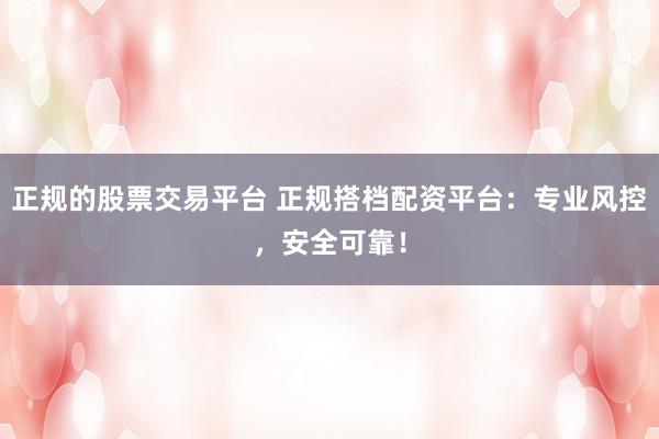 正规的股票交易平台 正规搭档配资平台：专业风控，安全可靠！