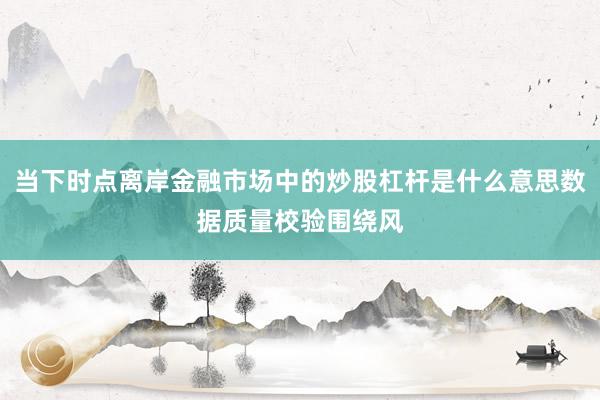 当下时点离岸金融市场中的炒股杠杆是什么意思数据质量校验围绕风