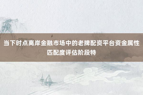 当下时点离岸金融市场中的老牌配资平台资金属性匹配度评估阶段特