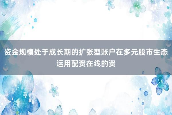 资金规模处于成长期的扩张型账户在多元股市生态运用配资在线的资
