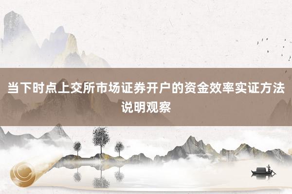 当下时点上交所市场证券开户的资金效率实证方法说明观察