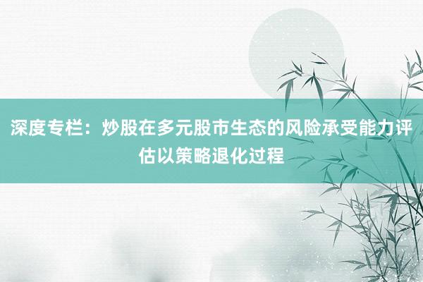 深度专栏：炒股在多元股市生态的风险承受能力评估以策略退化过程
