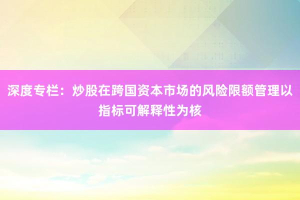 深度专栏：炒股在跨国资本市场的风险限额管理以指标可解释性为核