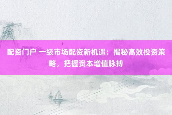 配资门户 一级市场配资新机遇：揭秘高效投资策略，把握资本增值脉搏