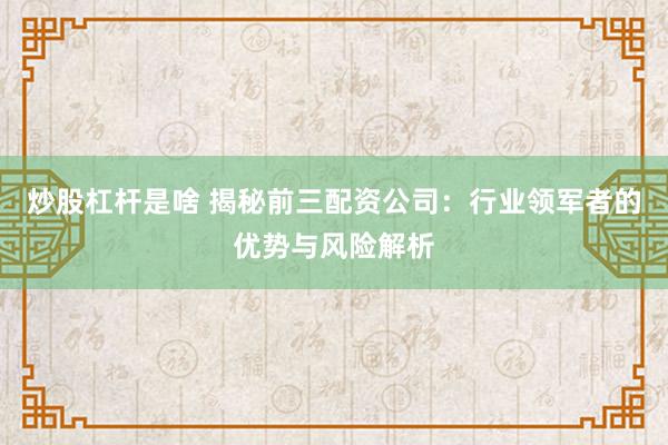 炒股杠杆是啥 揭秘前三配资公司：行业领军者的优势与风险解析