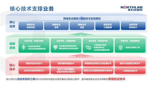 杨丽春 筑牢网络安全防线,为数字经济高质量发展保驾护航