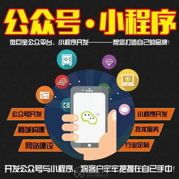 app开发 系统开发 小程序公众号开发 做网站 南昌微信平台